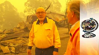 The Devastating Impact of the Australian Bushfires