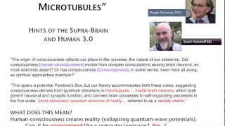 Supra-Brain vs Artificial Intelligence Part 3 of 5