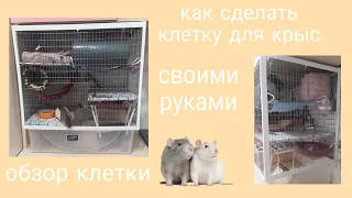 Как сделать клетку для крыс. Обзор клетки