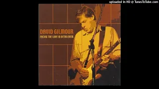 DAVID GILMOUR - Comfortably Numb - LIVE Bethlehem 1984/07/12 [SBD]