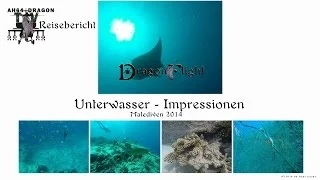 Unterwasser-Impressionen - Dragon Flight - AH64DRAGON-TV
