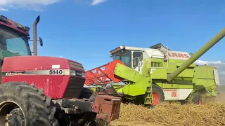 Claas Dominator 98s and Case 5140