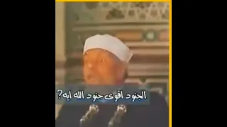 من هم أشد جنود الله ع الارض فضيلة الشيخ محمد متولي الشعراوي رحمه الله