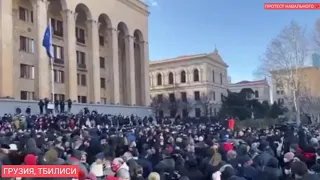 Грузинская оппозиция начала акцию протеста после задержания Ники Мелии.