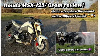 Honda Grom MSX 125 Review & Buyers Guide! (Before the engine swap)