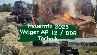 Heu pressen Welger AP 12 / IHC 624 / Belarus 82 / Mecklenburg-Vorpommern / Heuernte / DDR Technik