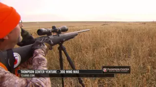 Talk About A Lucky Whitetail Buck...In more ways that one as he looks to breed a doe