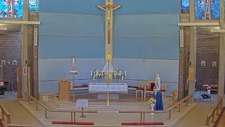 Vigil Mass (4.5.2024) | St Thomas More, Sheldon