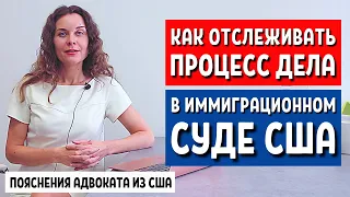 ЧТО ДЕЛАТЬ ЕСЛИ ДЕЛО ПЕРЕДАЛИ В ИММИГРАЦИОННЫЙ СУД США Иммиграционный адвокат США Екатерина Муратова