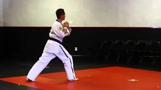 Songahm 3 (Full Form) - Schafer's ATA Martial Arts