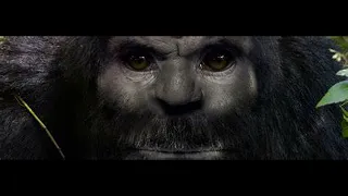 BIGFOOT REAL OR FAKE NEW EVIDENCE