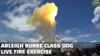 US Navy Arleigh Burke Missile Destroyer Live Fire