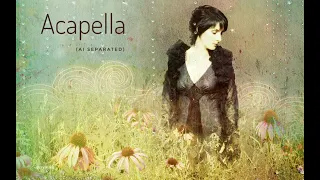 Enya - Ebudæ (Acapella, AI separated)