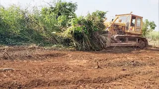 Awesome Bulldozer forestry clearing operators Caterpillar D6D