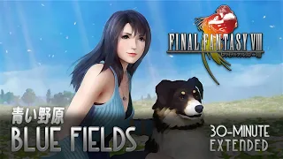 Blue Fields - Final Fantasy VIII - Reorchestrated (30-minute extended)