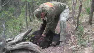 Extreme AZ - Archery Spring Bear Hunt with Cole VanWinkle