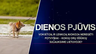 Naglis Šulija atskleidžia – ar Lietuvoje sulauksime neregėtų orų anomalijų? | DIENOS PJŪVIS