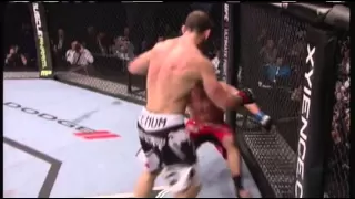 Wanderlei "The Axe Murderer" Silva Highlights