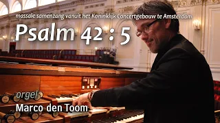 Samenzang Psalm 42:5 (ritmisch) vanuit het Concertgebouw Amsterdam | MARCO DEN TOOM, orgel