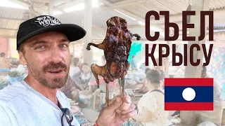 СЪЕЛ КРЫСУ!! ДА НЕПРОСТУЮ! ЧТО ЕДЯТ В ЛАОСЕ?? (Что едят лаосцы. Ужасы лаосского рынка)