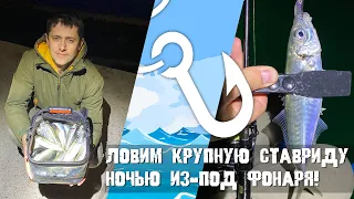 Как поймать крупную ставриду? Ловим в открытом море с лодки ночью из-под фонаря! (compact)