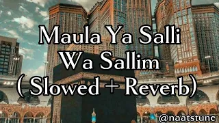 Maula Ya Salli Wa Sallim ( slowed & reverb)