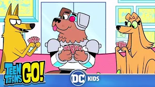 Teen Titans Go! En Latino | Animales vivos - Parte II | DC Kids