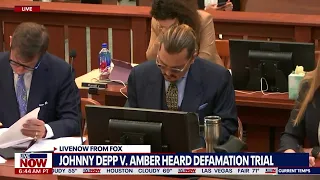 Amber Heard expert: Johnny Depp was at 'extreme risk of death' | LiveNOW from FOX