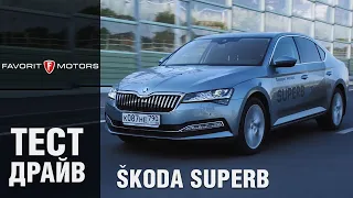 Skoda SuperB: Обзор и тест-драйв практичного лифтбека Шкода СуперБ