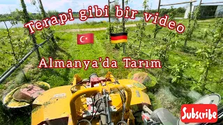 Alman meyve bahçelerinde yabancı otla mücadele