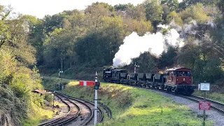 Branch line steam on the Dean Forest Railway