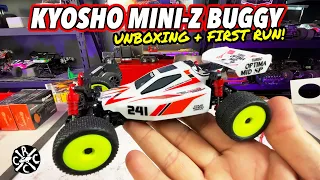 Kyosho Mini-z Buggy Unboxing and First Run