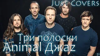 Animal ДжаZ - Три полоски кавер