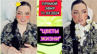 🔴ПРЯМОЙ ЭФИР 11.03.2024 " ЦВЕТЫ ЖИЗНИ" Стрим Tik-Tok Рима Пенджиева