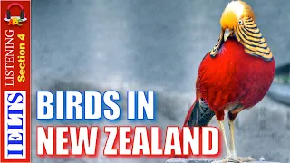 Real IELTS Listening Test | Section 4 | Birds in New Zealand
