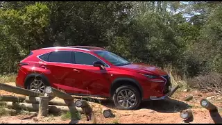 2015 Lexus NX200t