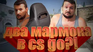 ДВА МАРМОКА! ТРОЛЛИНГ ГОЛОСОМ МАРМОКА В CS:GO #2