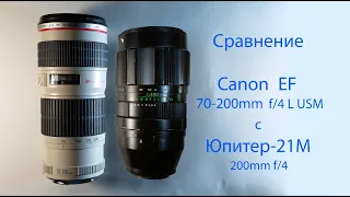 Сравнение Canon EF 70-200mm f/4 L USM с Юпитер-21М 4/200