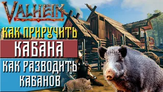 Valheim Как приручить кабана ► Разведение кабанов(valheim гайд)