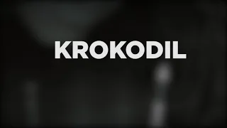 WEB EXTRA: Expert explains what Krokodil is