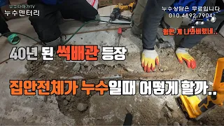 4화.40년 된 썩배관 등장, 집안 전체가 누수일 때 어떻게 할까