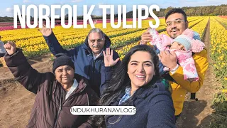 Found AMSTERDAM in UK | Road Trip From London To Norfolk Tulips | Travel With Kid | InduKhuranaVlogs