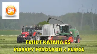 Silage 2019 | Fendt Katana 65 with Massey Ferguson 8737 & Fliegl Gigant ASW