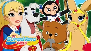 Los diez mejores momentos de los animales | DC Super Hero Girls en Español