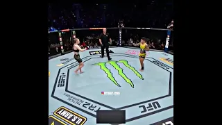 ufc261 Valentina Shevchenko vs Jesica Andrade