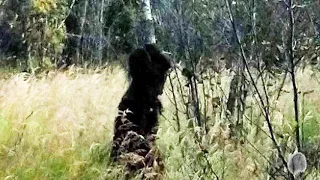 Mysterious Photos of Bigfoot | Mountain Beast Mysteries | Episode 60