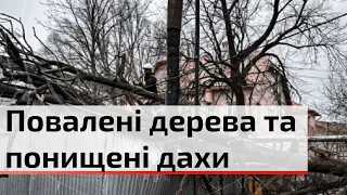 Якої шкоди наробила негода у Чернівцях та як спецслужби ліквідовують наслідки? | C4