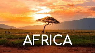 ✅ African Background Music | Tribal Free Music