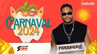 PARANGOLÉ CD CARNAVAL 2024