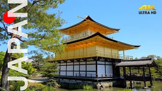 Kyoto Walking Tour [4K] 🇯🇵 Golden Pavilion "Kinkakuji" Japanese garden 2020 Virtual Tour (ASMR) 京都